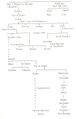 Genealogy of Chandravansha1.jpg