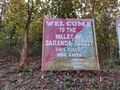 Saranda Forest-2.jpg
