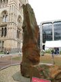 Natural History Museum, London