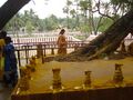 Nagaraja Temple, Nagercoil, Kanyakumari