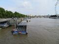 Westminster Bridge View