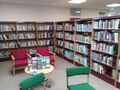 Burgess Hill, England, Library