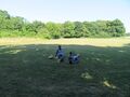 Open area in Bedelands Farm Local Nature Reserve, Burgess Hill, England