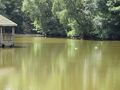 Viewing Pier at Silt Lake at Tilgate Park, West Sussex, England