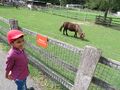 Shaurya at Tilgate Park, West Sussex, England