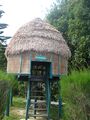 Mount Harriet, Nicobar Hut