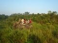 काजीरंगा में हाथी पर सवारी का आनंद