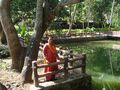 Udayagiri Fort bio-diversity park, Lake