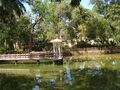 Udayagiri Fort bio-diversity park, Lake