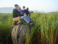 काजीरंगा में हाथी पर सवारी का आनंद