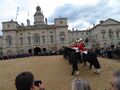 Horse Guards Parade