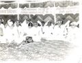 किसान यूनियन के अधिवेशन में श्री दौलतराम सारण, चंद्रावती, कुंभाराम आर्य और देवीलाल 1983