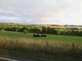 View of Fields near Bath, Somerset, England — in Bath, Somerset.