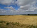 Fields after harvesting in England around Stonehenge