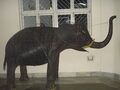 शंकरदेव कलाक्षेत्र गुवाहाटी में बांस का हाथी
