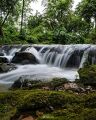 Tiriya Forest Fountain